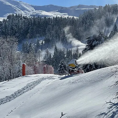 Cosy A Pres Des Pistes, 2 Lits Superposes Et Lit Rabattable, Parfait Pour L'hiver - Fr-1-787-8 Apartament Laveissière